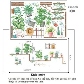 Decal dán tường combo