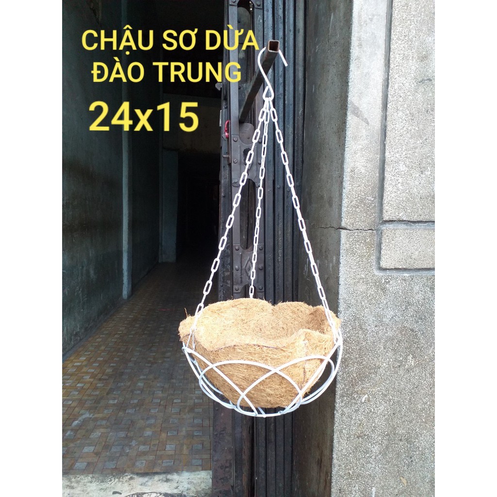 Chậu treo sơ dừa