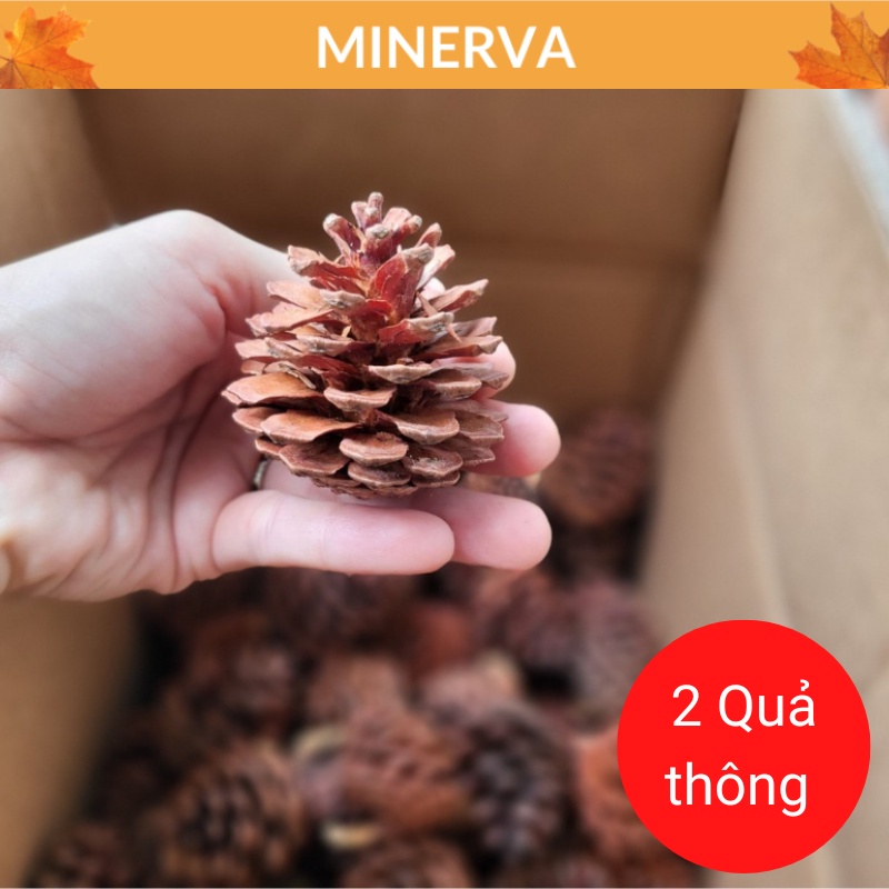 SET 11 Món phụ kiện chụp ảnh TONE ĐỎ siêu rẻ ,  trang trí chụp hình sản phẩm , decor phông nền