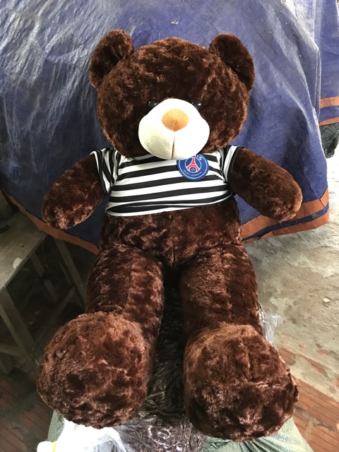 Gấu teddy 1m