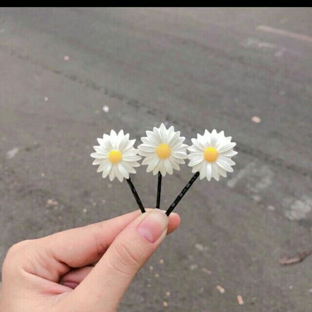 Kẹp tóc hoa cúc