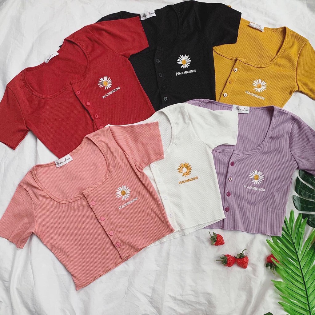 Áo Croptop Xinh Xắn form rộng dáng ôm kiểu đẹp tay ngắn thêu hoa cách điệu đi chơi cá tính nhiều màu SANMAY02-AO006 | BigBuy360 - bigbuy360.vn