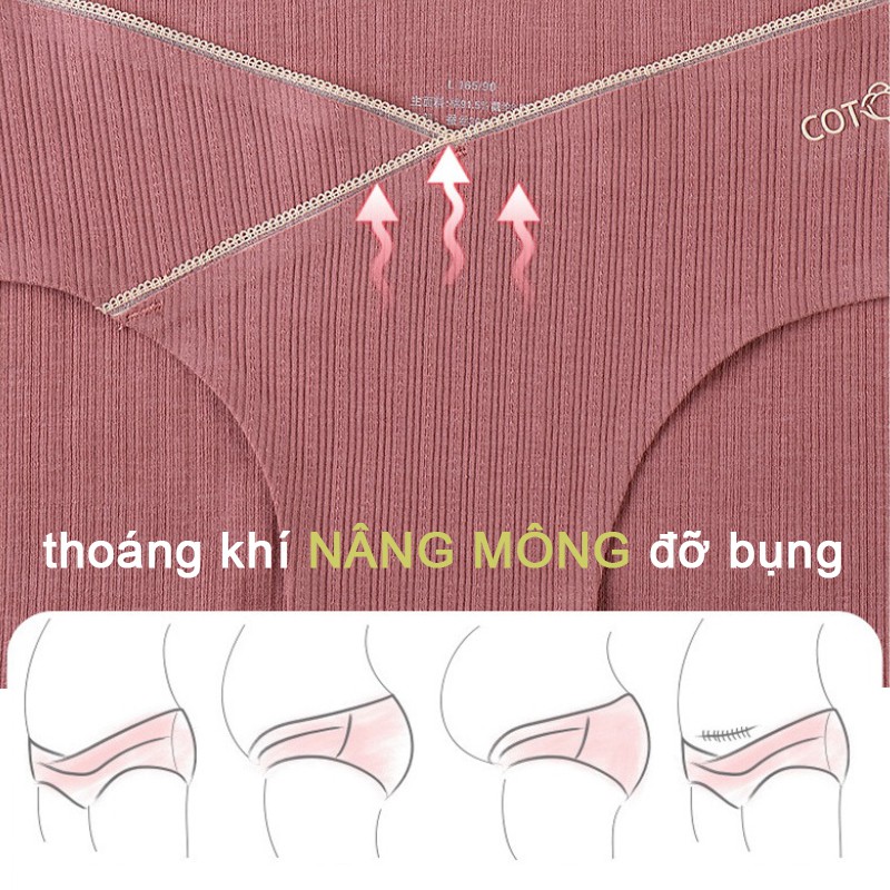 Quần lót bầu cotton tinh chế, nâng mông, đỡ bụng