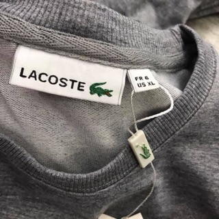 Bộ nỉ da cá Lacoste Size 60-70kg