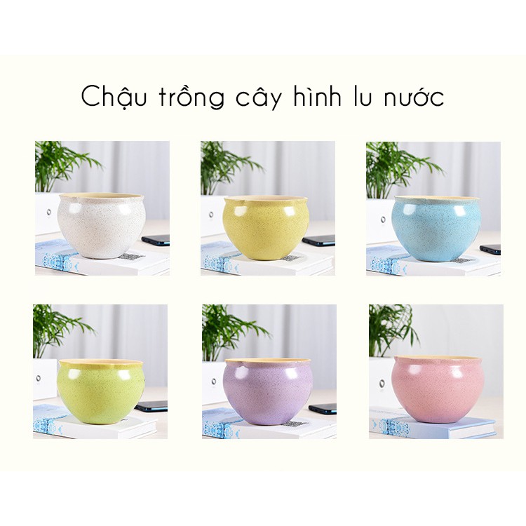 Chậu trồng cây hình lu nước, chậu sứ hình chum trồng cây văn phòng, cây để bàn đẹp, gốm sứ Trung Quốc chất lượng cao