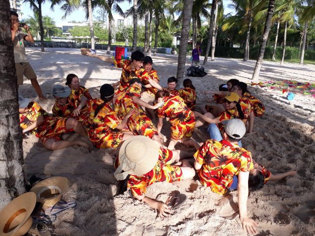 bộ sơmi thái cây dừa vàng đi biển cực hot