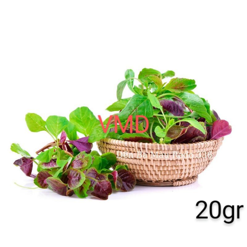 Hạt giống Rau Dền Ba Màu