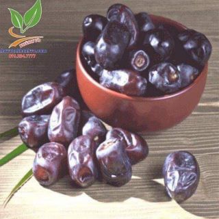 Hạt giống chà là thái