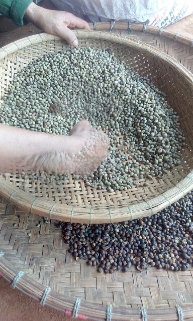 CAFE BỘT NGUYÊN CHẤT ROBUSTA MIKA 5KG | BigBuy360 - bigbuy360.vn