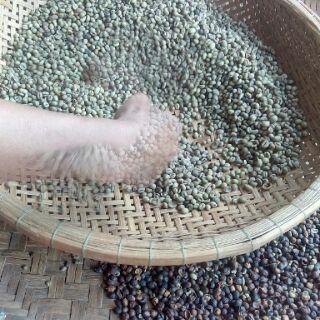CAFE BỘT NGUYÊN CHẤT ROBUSTA MIKA 5KG