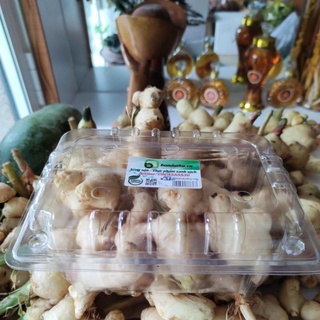 Củ gừng tươi