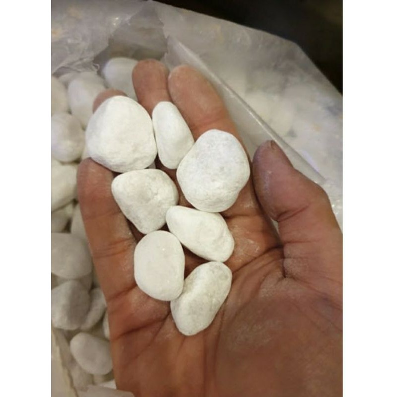 Sỏi trắng tự nhiên trang trí bể cá, bể thủy sinh