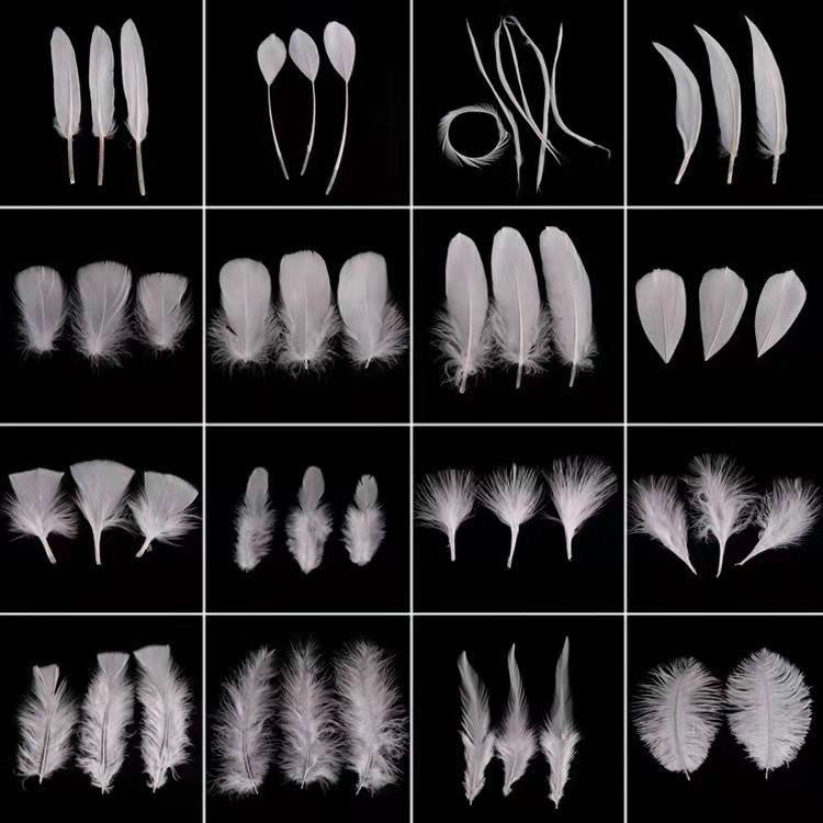 Quà Tặng Ngẫu Nhiên: Trang Sức / Lắc Chân / Lông Vũ / Quà Tặng Nhỏ Khác