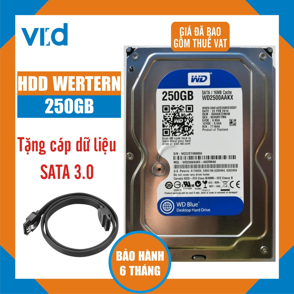 Ổ cứng HDD WD Western Digital 250GB - Bảo hành 6 tháng 1 đổi 1