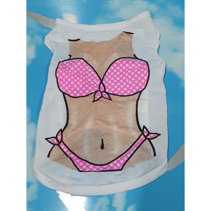 Gău bông áo của cún