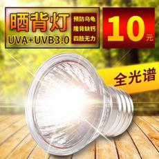 Đèn Sưởi Ấm Cho Thú Cưng Bò Sát