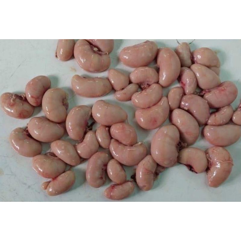 Hoả tốc HCM - NGỌC KÊ GÀ 500G