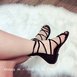 sandan dây cực đẹp