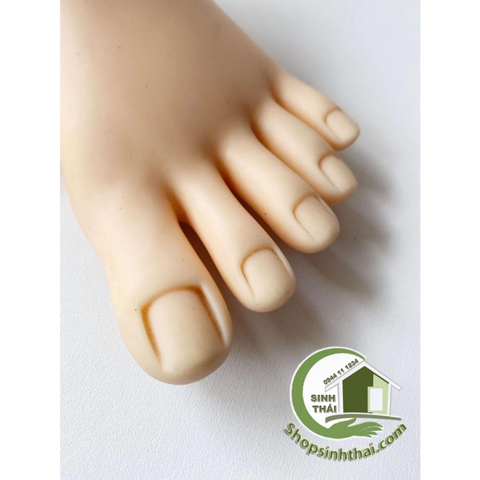 Bàn chân giả bằng silicon, học làm móng, nail, sơn vẽ