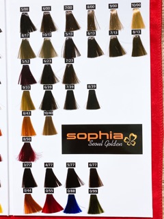 COMBO 40 TUÝT MÀU NANO SOPHIA( TẶNG KÈM BẢNG MÀU)
