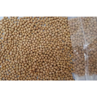 Đậu nành Canada túi 1kg.