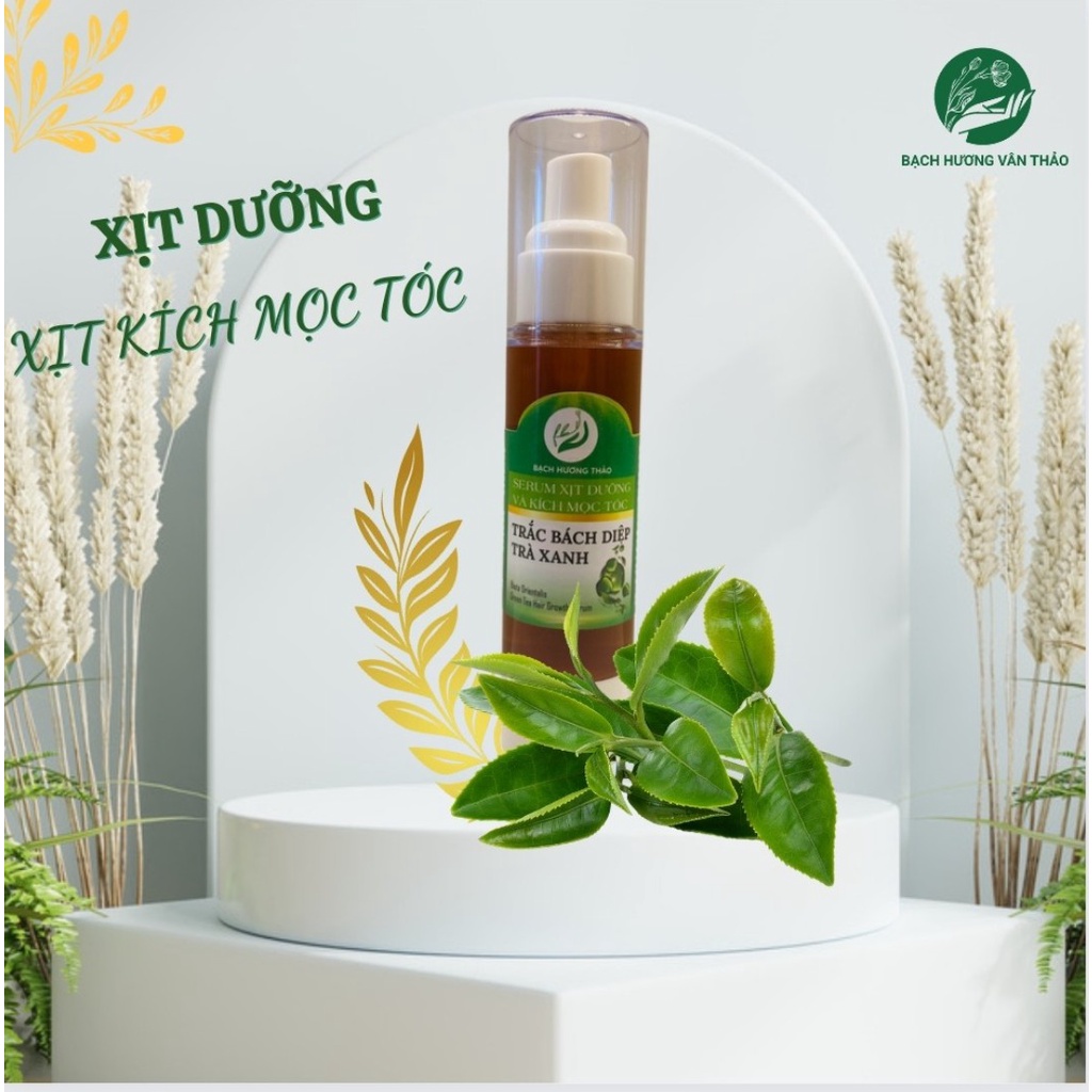 Serum xịt kích mọc tóc Bạch Hương Thảo, chiết xuất bưởi - trà xanh giúp kích thích nhanh mọc lại tóc con