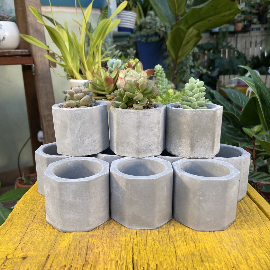 Combo 10 chậu xi măng mini trồng sen đá