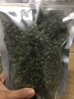 Nụ tam thất bao tử 500g