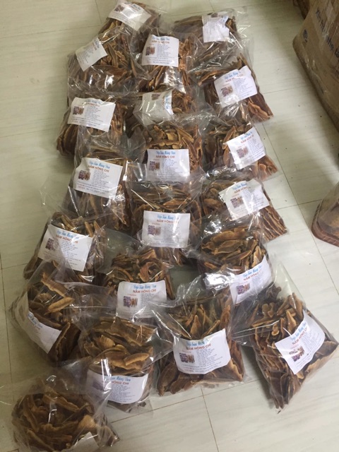 ☘️🌿1 ký NẤM HỒNG CHI RỪNG KHÔ🍀💕 | BigBuy360 - bigbuy360.vn