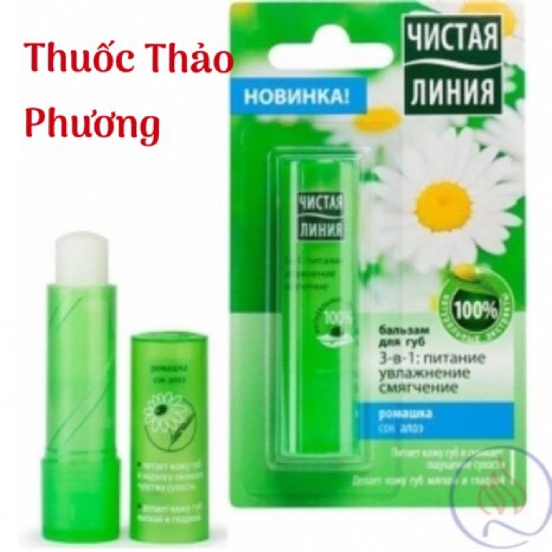 Son dưỡng Nga hoa cúc Pure Line