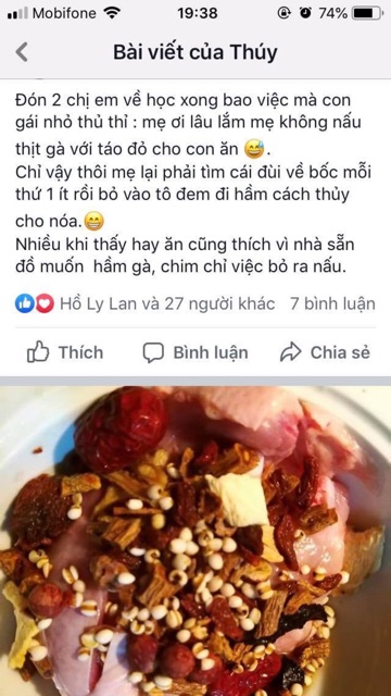 Gói hầm thuốc bắc, gói hầm gà, tiềm gà, chim câu cao cấp hàng handmade không sấy lưu huỳnh handmade nhà làm