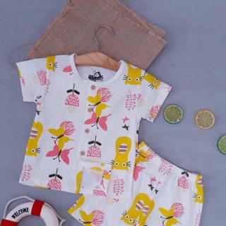 Combo 50 bộ cotton và 10 mũ xuất