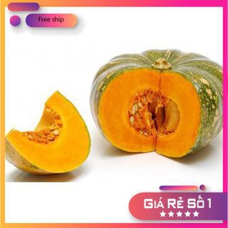 Hạt giống bí đỏ (10 hạt)