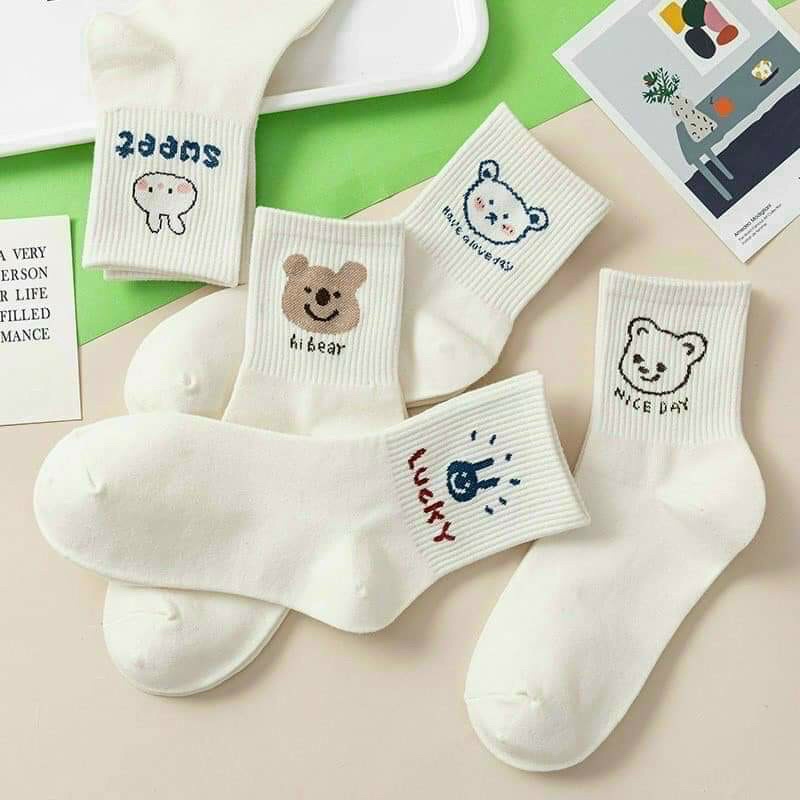 Tất cổ cao, vớ hình gấu dễ thương .