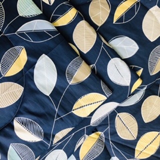 Bộ ga và vỏ gối cotton