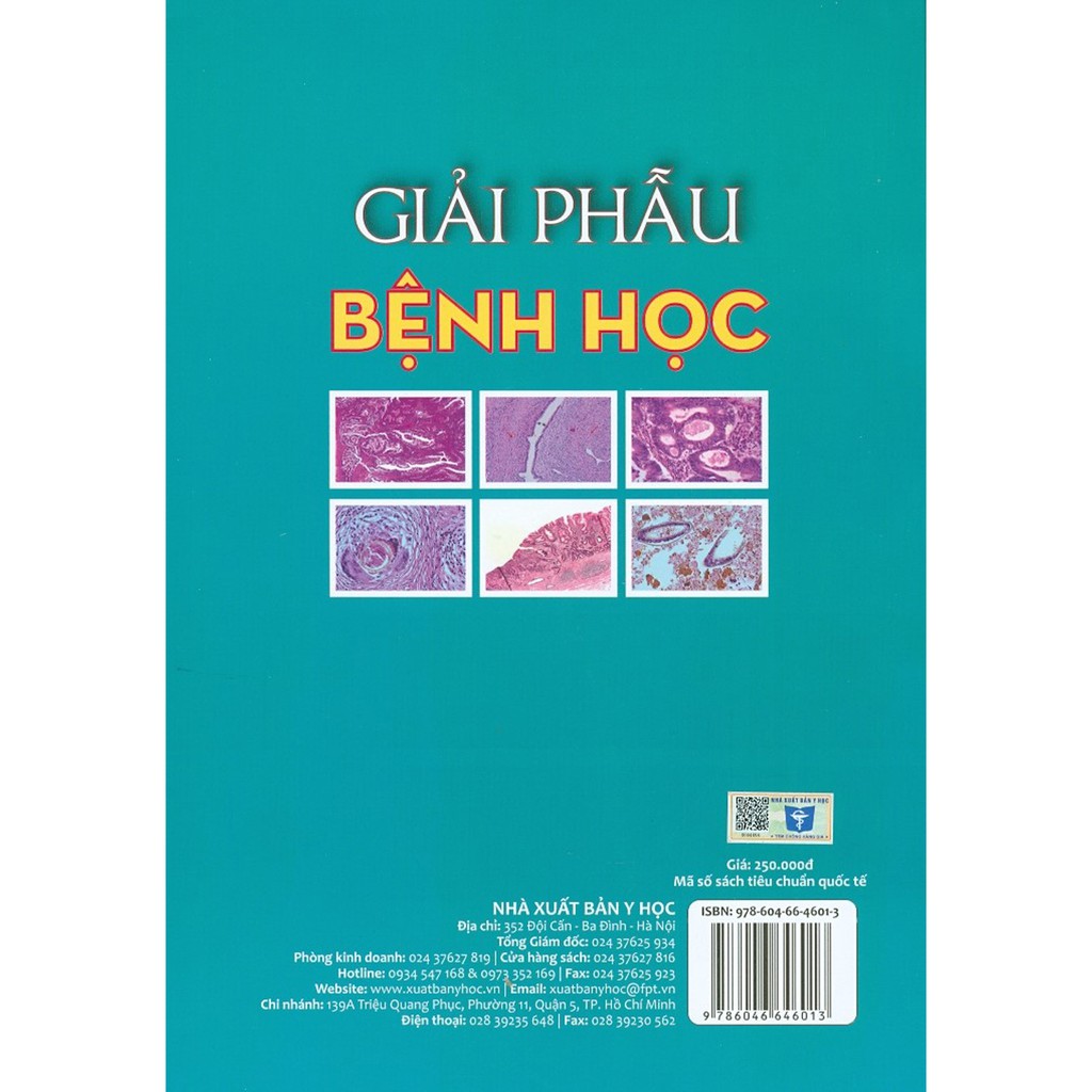 Sách - Giải Phẫu Bệnh Học