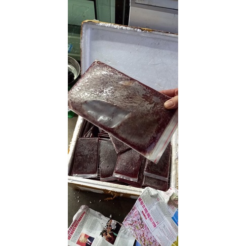 trùn huyết đông lạnh túi zip 200gr, 1kg 5 túi