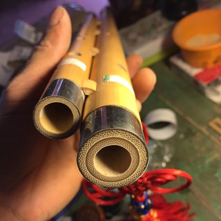 sáo mèo kép việt tone đô