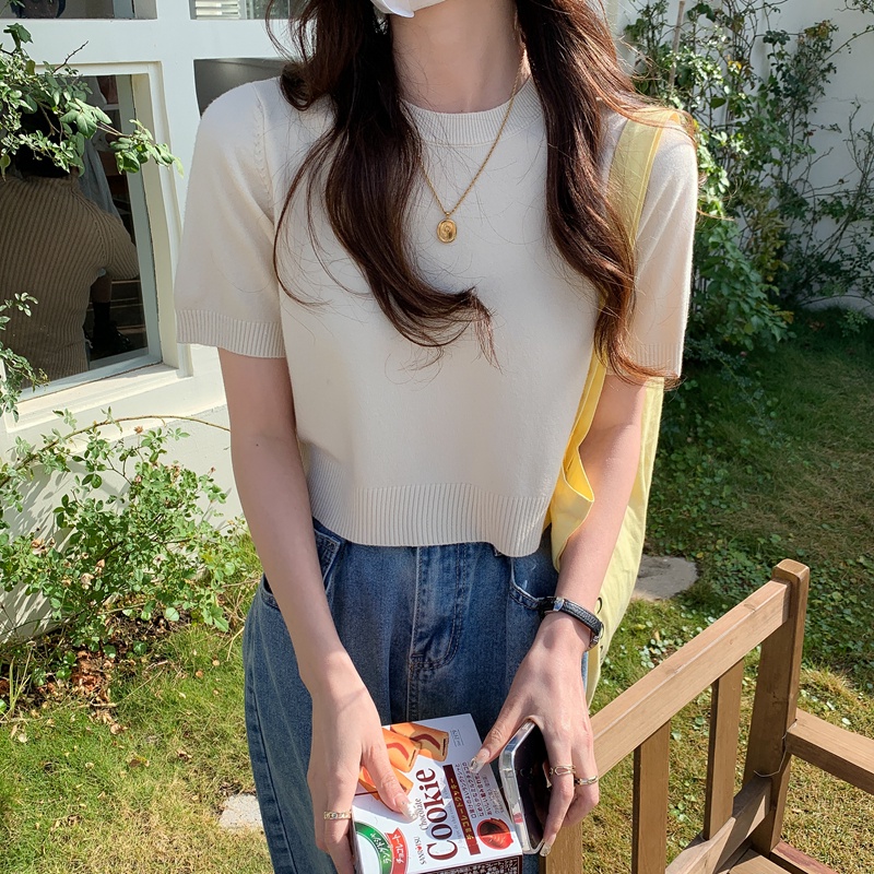 Áo Len Ngắn Tay Màu Sắc Đa Dạng 48998