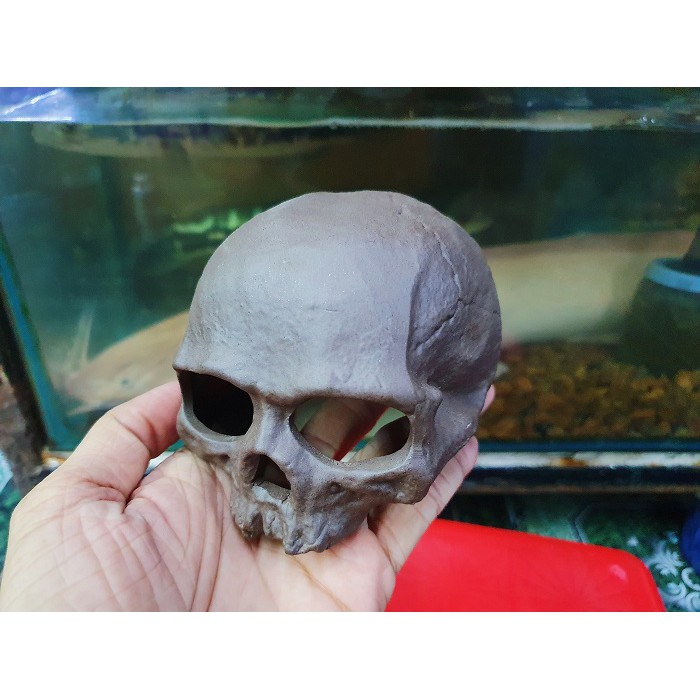 ĐẦU LÂU TRANG TRÍ HỒ CÁ NON BỘ CHO TÔM TÉP CHUI VÀO 10X9X7CM