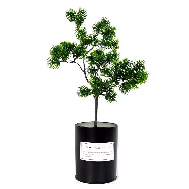 Cành lá thông giả decor nhà cửa, trang trí tiểu cảnh, cây bonsai cao 40cm