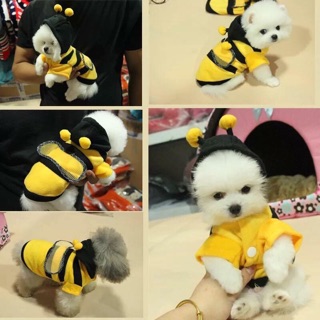 Đồ bộ “bé ong vàng” 🐶🐱🐝🐝