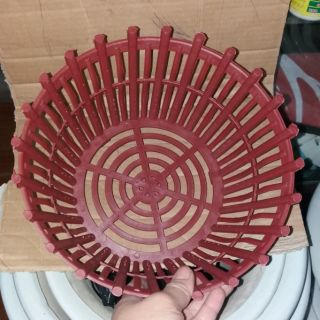 10 chậu trồng lan phi 20cm cao cấp