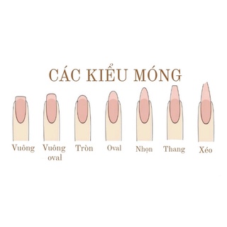 [Nailbox] Móng úp cửu long