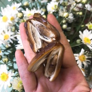 Combo nguyên thùng chà là tươi nguyên cành