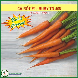 Hạt giống Carrot RUBY F1 TN 406