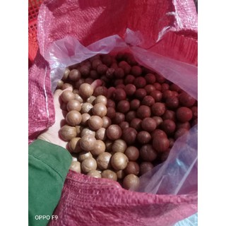 Hạt dinh dưỡng mắc ca sấy chín