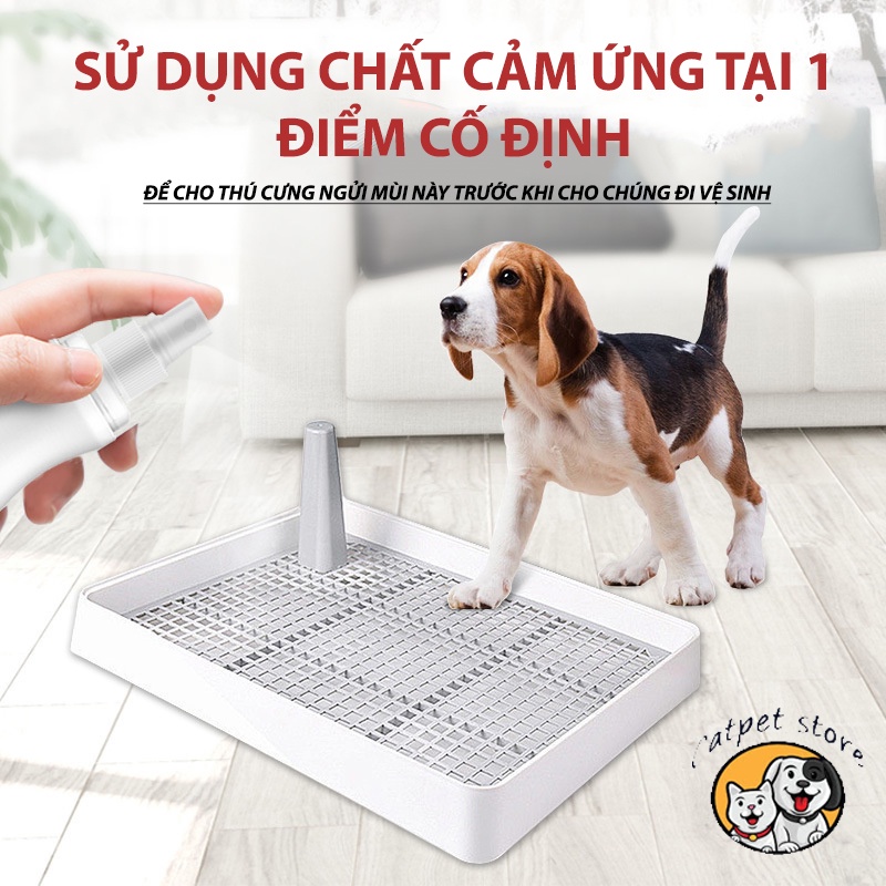 Xịt hướng dẫn vệ sinh chó mèo,Xịt hướng dẫn giúp thú cưng vệ sinh đúng chỗ