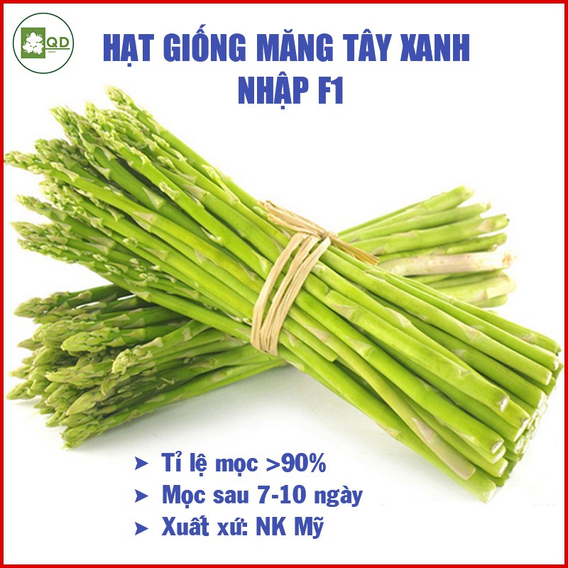 Hạt giống măng tây xanh (gói 30 hạt) chịu nhiệt cao sản thu hoạch quanh năm giá trị kinh tế cao - QD24