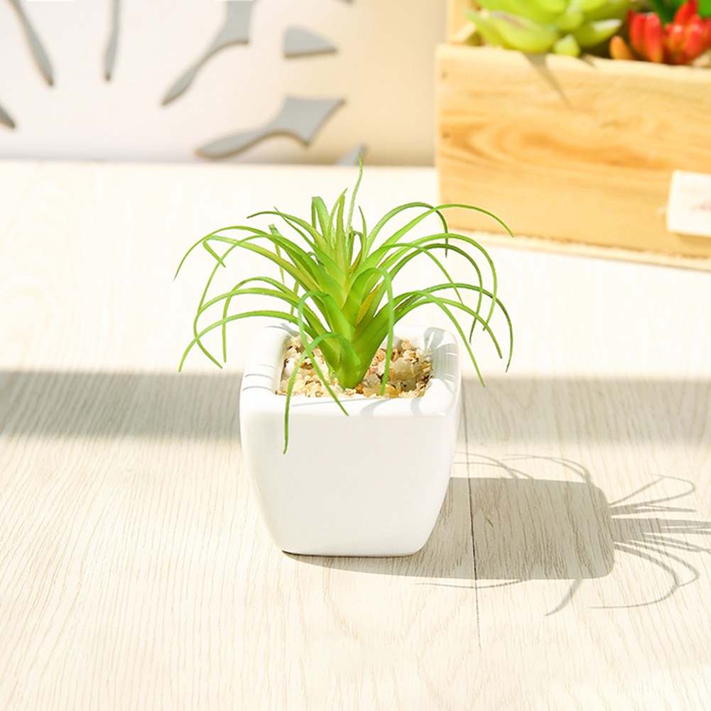 Chậu Cây Bonsai Giả Để Bàn Trang Trí Văn Phòng / Ban Công